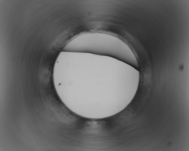 X0000115730558200912241628