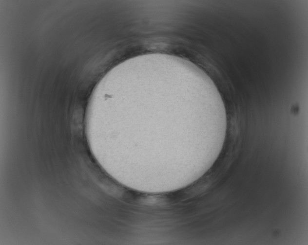 X0000115730561200912241628