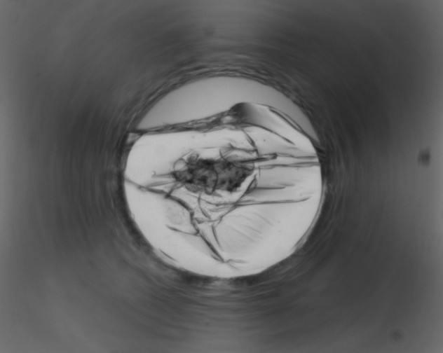 X0000115730562200912241628