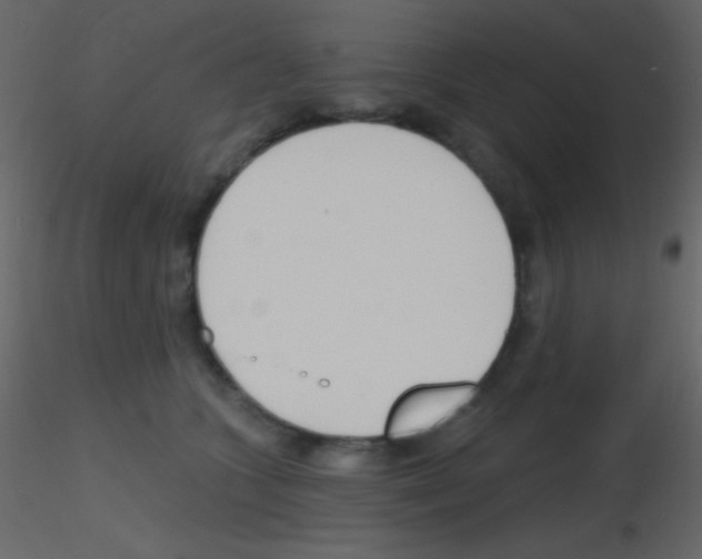X0000115730563200912241628