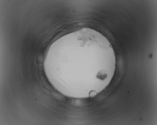 X0000115730565200912241628