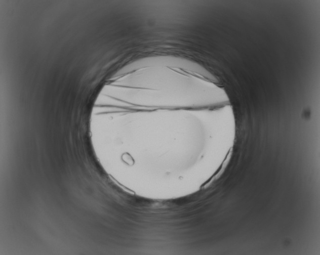 X0000115730566200912241629