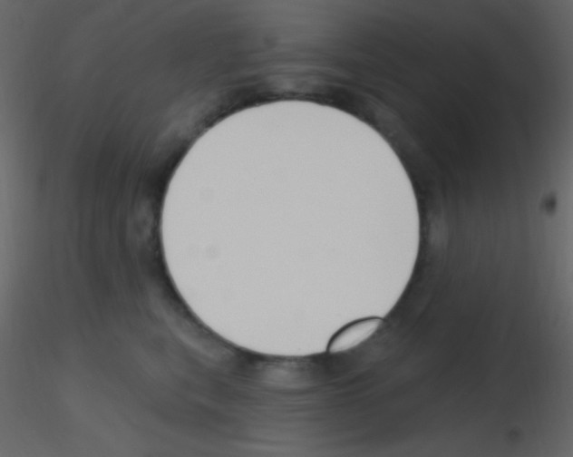 X0000115730567200912241629