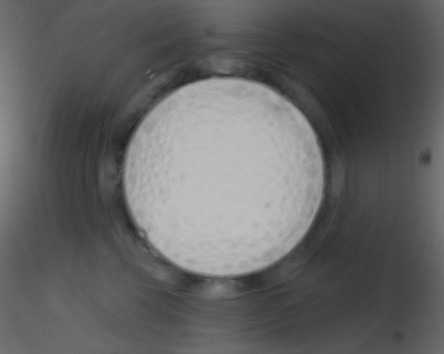 X0000115730569200912241629
