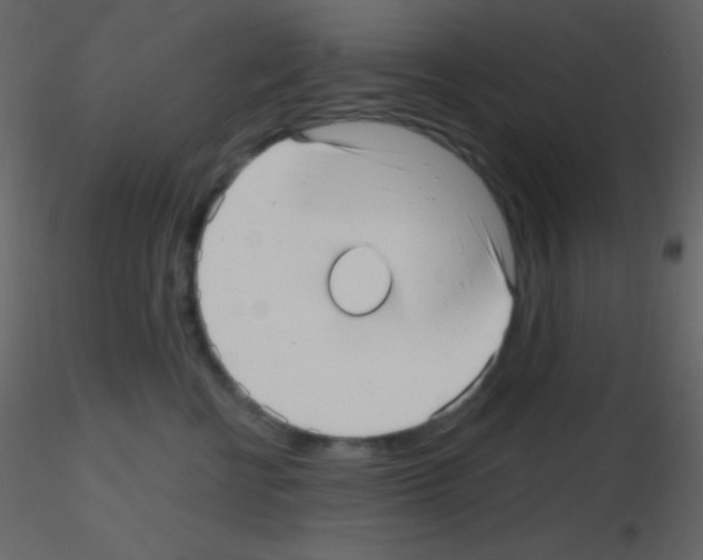 X0000115730570200912241629