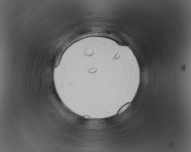 X0000115730571200912241629