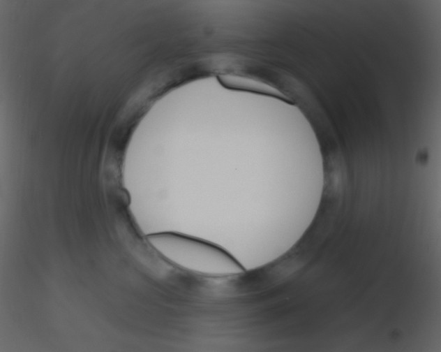 X0000115730573200912241629