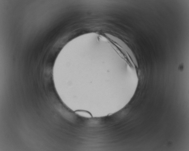 X0000115730574200912241629