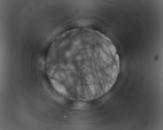 X0000115730575200912241629