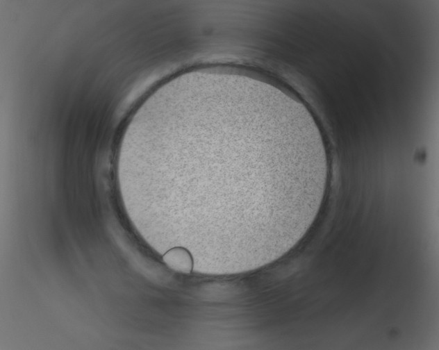 X0000115730578200912241628