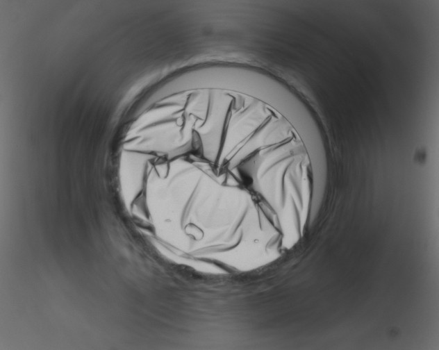 X0000115730579200912241628
