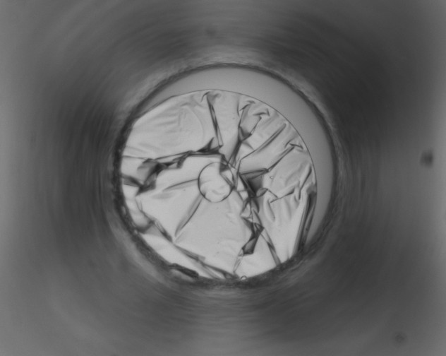 X0000115730581200912241628