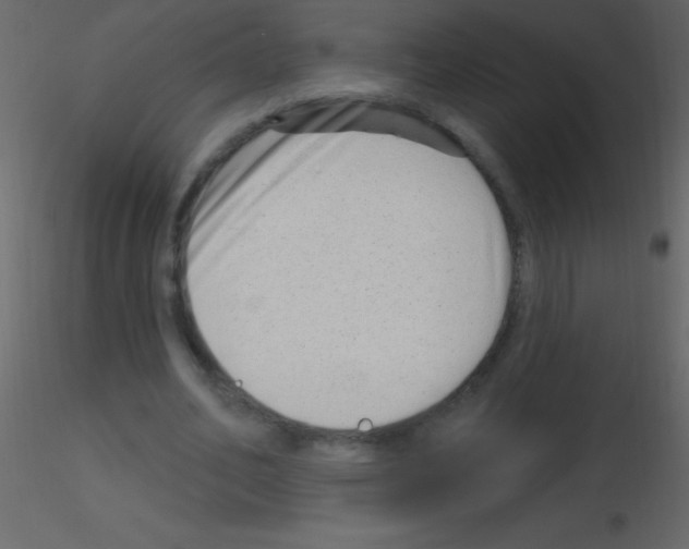 X0000115730582200912241628