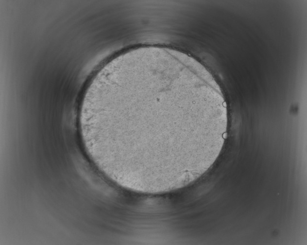 X0000115730584200912241628