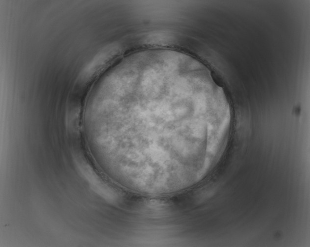 X0000115730585200912241628