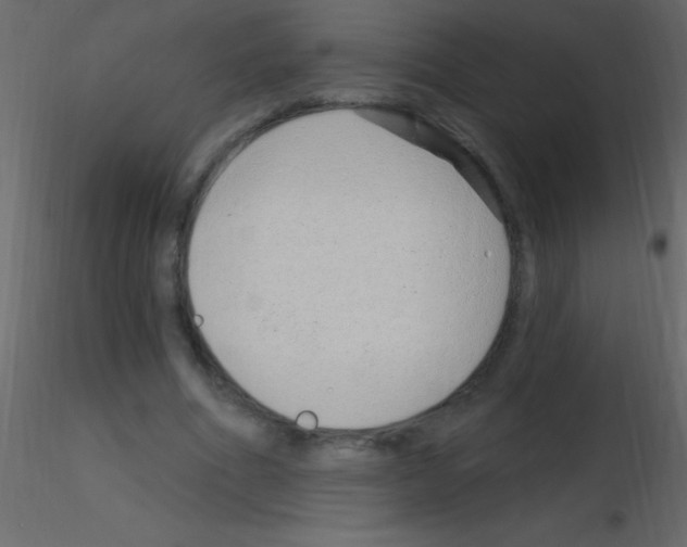 X0000115730586200912241628