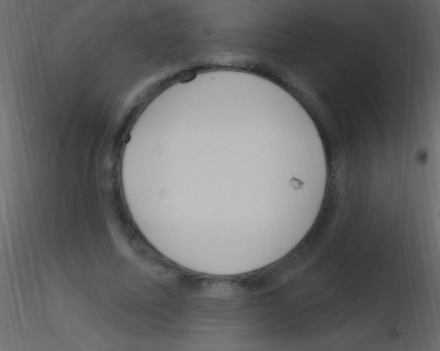 X0000115730587200912241628