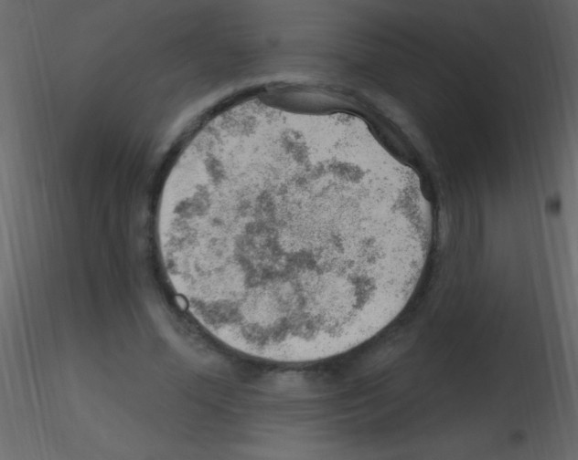 X0000115730588200912241628