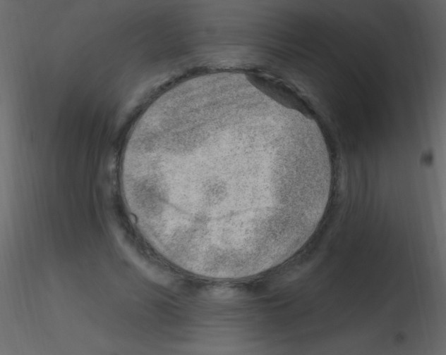 X0000115730590200912241628