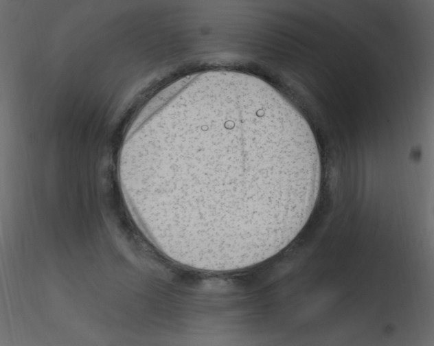 X0000115730591200912241628
