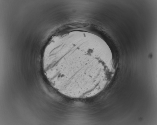 X0000115730592200912241628