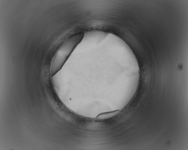 X0000115730593200912241628