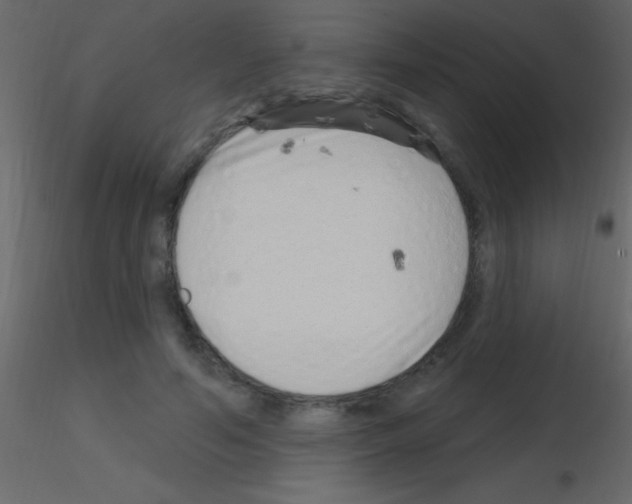 X0000115730594200912241628