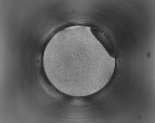 X0000115730596200912241628