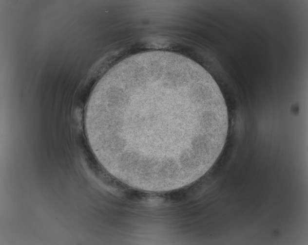 X0000115730598200912241628