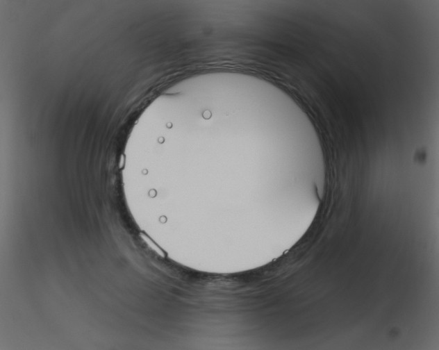X0000115730599200912241628