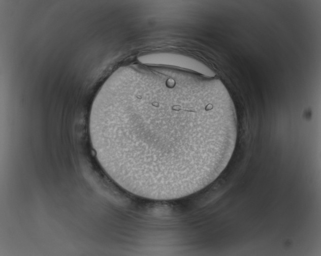X0000115730600200912241628