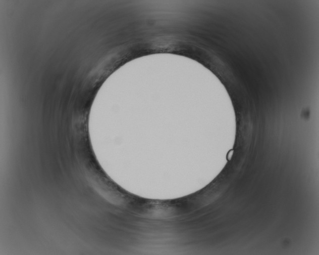 X0000115730601200912241628