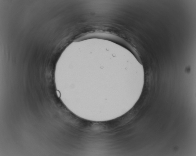 X0000115730608200912241628