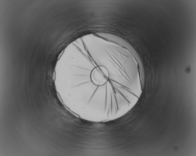 X0000115730609200912241628