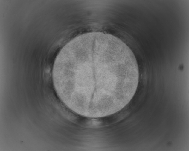 X0000115730610200912241628