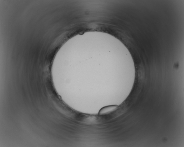 X0000115730611200912241628
