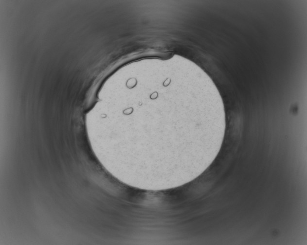 X0000115730612200912241628