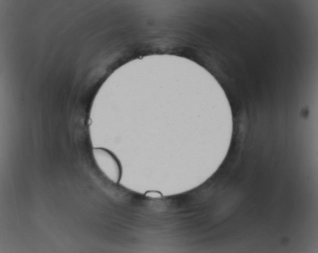 X0000115730615200912241627