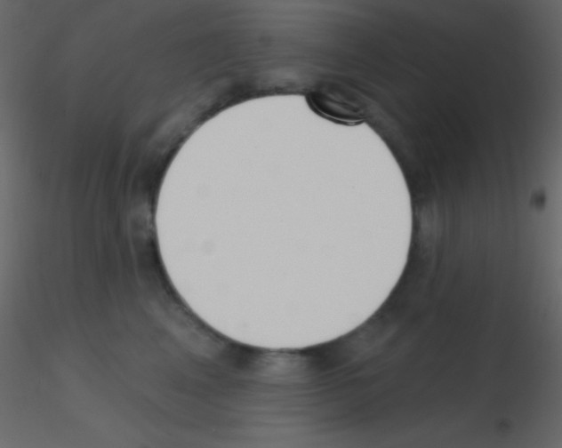 X0000115730617200912241627