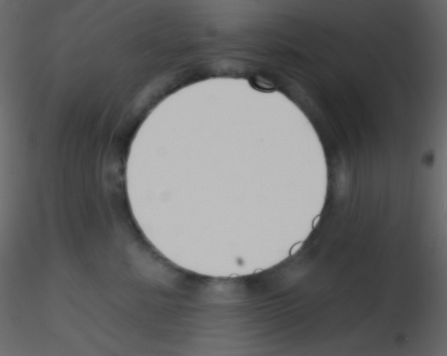 X0000115730619200912241627