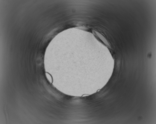 X0000115730620200912241627