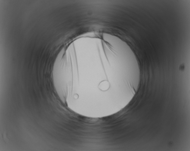 X0000115730621200912241627