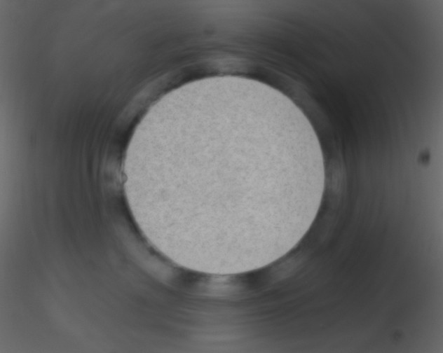 X0000115730622200912241627