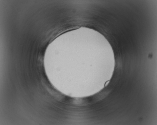 X0000115730623200912241627