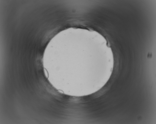 X0000115730624200912241627