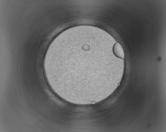 X0000115730625200912241627