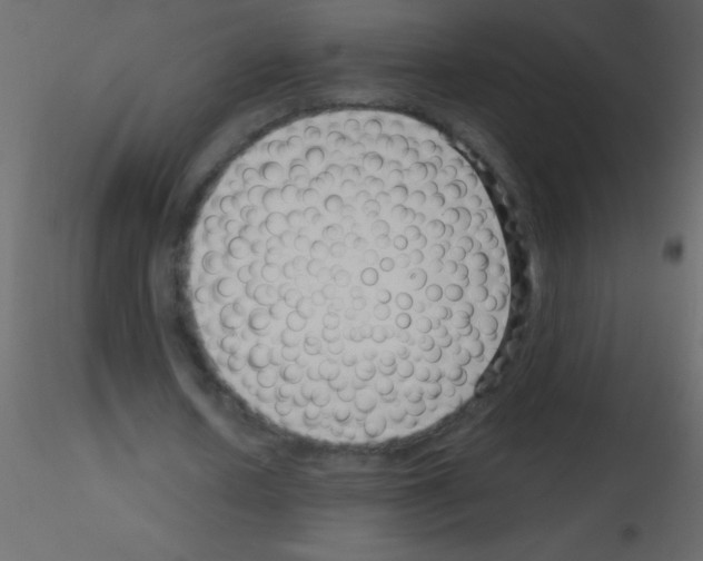 X0000115730626200912241627