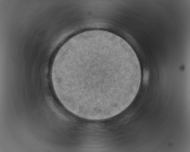 X0000115730627200912241627