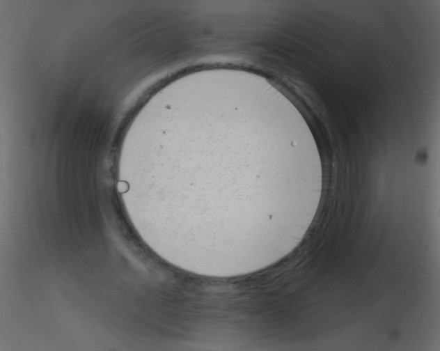 X0000115730628200912241627