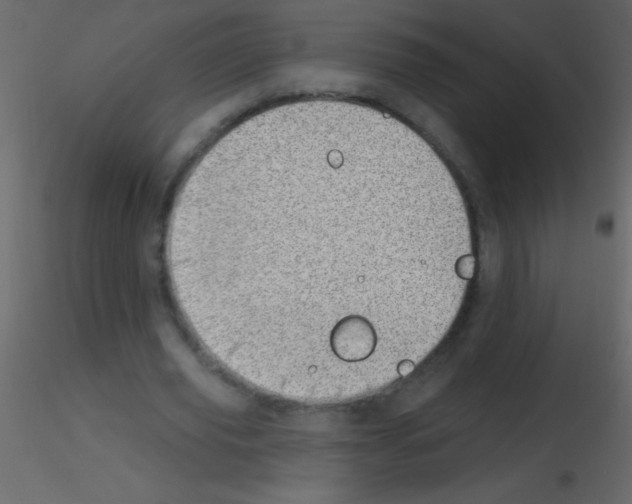 X0000115730629200912241627